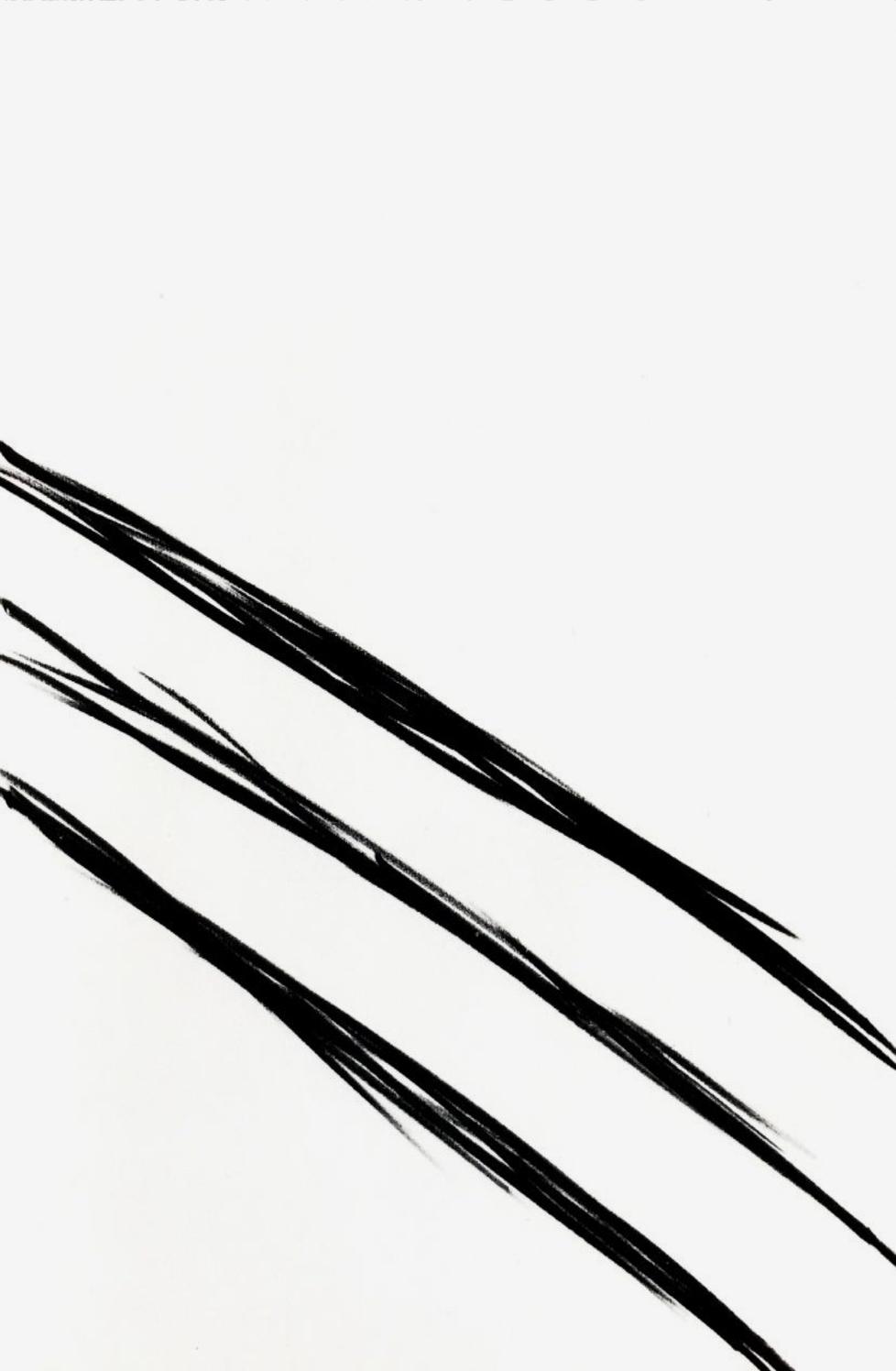 Streifen_web4
