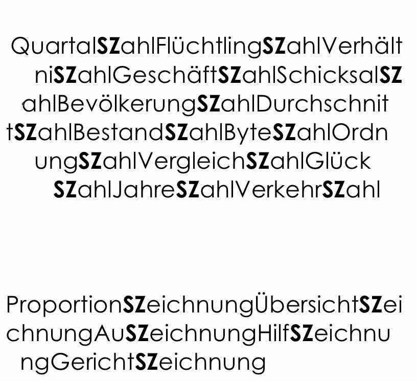 SZ_ZAHLZEICHNUNG