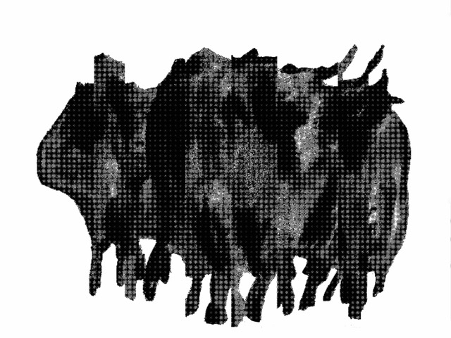 StiereCutOut_60x45cm_183KB.reduz2