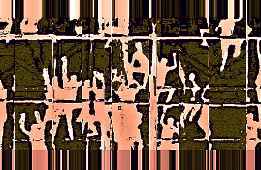 Zaun6_7_7_e_fleisch3._152KB