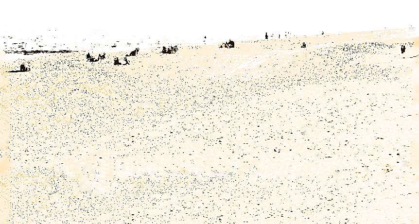 Strand_SandWeb